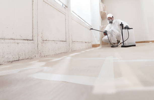 24/7 Emergency Mold Remediation experts in Hillsborough, NJ